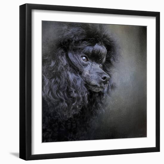 Snack Spotter Toy Black Poodle-Jai Johnson-Framed Giclee Print