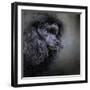 Snack Spotter Toy Black Poodle-Jai Johnson-Framed Giclee Print