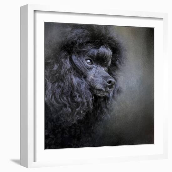 Snack Spotter Toy Black Poodle-Jai Johnson-Framed Giclee Print