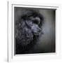 Snack Spotter Toy Black Poodle-Jai Johnson-Framed Giclee Print