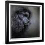 Snack Spotter Toy Black Poodle-Jai Johnson-Framed Giclee Print