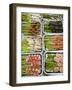 Snacks at Outdoor Grill Stand, Old Town, Lijiang, Yunnan Province, China-Walter Bibikow-Framed Photographic Print