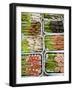 Snacks at Outdoor Grill Stand, Old Town, Lijiang, Yunnan Province, China-Walter Bibikow-Framed Photographic Print
