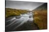 Snaefellsness, National Park, Glacial river flowing through mossy tundra, Iceland, Polar Regions-Jon Reaves-Stretched Canvas