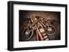 Snaffle Bit n Spur-Barry Hart-Framed Art Print