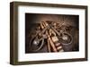 Snaffle Bit n Spur-Barry Hart-Framed Art Print