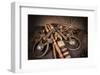 Snaffle Bit n Spur-Barry Hart-Framed Art Print