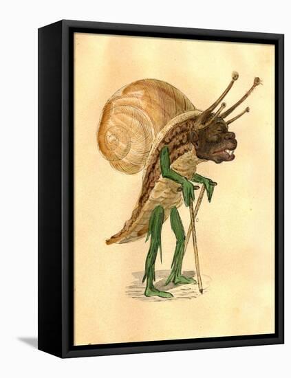 Snail 1873 'Missing Links' Parade Costume Design-Charles Briton-Framed Stretched Canvas