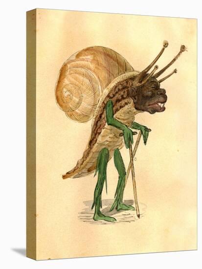 Snail 1873 'Missing Links' Parade Costume Design-Charles Briton-Stretched Canvas