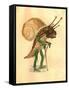 Snail 1873 'Missing Links' Parade Costume Design-Charles Briton-Framed Stretched Canvas