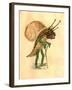 Snail 1873 'Missing Links' Parade Costume Design-Charles Briton-Framed Giclee Print