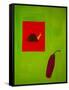 Snail and aubergine,1998,(oil on linen)-Cristina Rodriguez-Framed Stretched Canvas