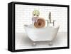 Snail In Bathtub-Matthew Piotrowicz-Framed Stretched Canvas