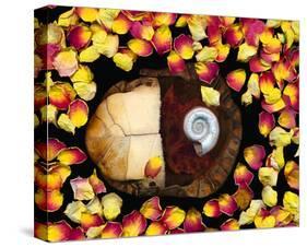 Snail painted Rose Petals-null-Stretched Canvas