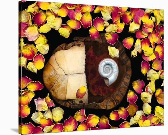 Snail painted Rose Petals-null-Stretched Canvas