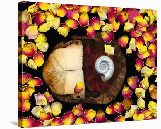 Snail painted Rose Petals-null-Stretched Canvas