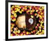 Snail painted Rose Petals-null-Framed Art Print