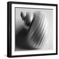 Snail Sea Shell-John Harper-Framed Giclee Print