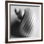 Snail Sea Shell-John Harper-Framed Giclee Print