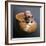 Snail Shaped Vessel with Figure of an Old Man-null-Framed Photo