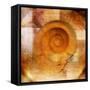 Snail Shell and Handwriting-Colin Anderson-Framed Stretched Canvas