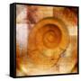 Snail Shell and Handwriting-Colin Anderson-Framed Stretched Canvas