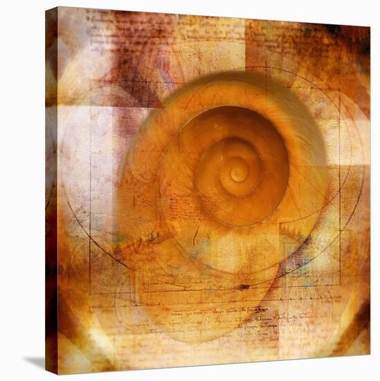 Snail Shell and Handwriting-Colin Anderson-Stretched Canvas