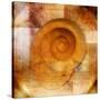 Snail Shell and Handwriting-Colin Anderson-Stretched Canvas