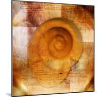 Snail Shell and Handwriting-Colin Anderson-Mounted Photographic Print