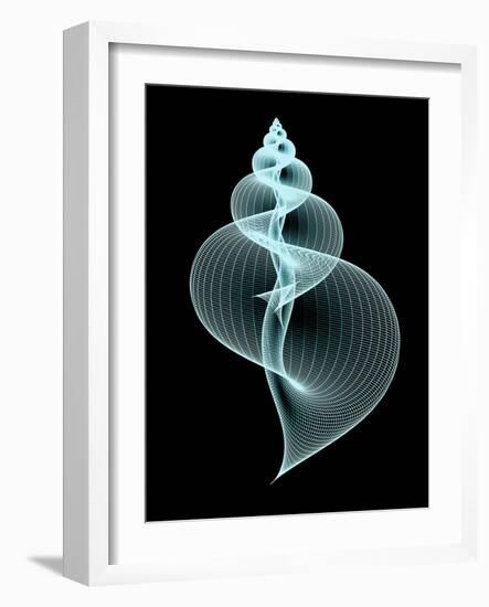 Snail Shell, Artwork-PASIEKA-Framed Photographic Print