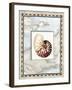 Snail Shell-Lisa Audit-Framed Giclee Print