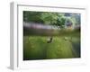 snail shells in garden pond-Nadja Jacke-Framed Photographic Print