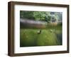 snail shells in garden pond-Nadja Jacke-Framed Photographic Print