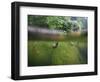 snail shells in garden pond-Nadja Jacke-Framed Photographic Print