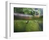 snail shells in garden pond-Nadja Jacke-Framed Photographic Print