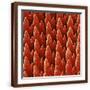 Brown Frame