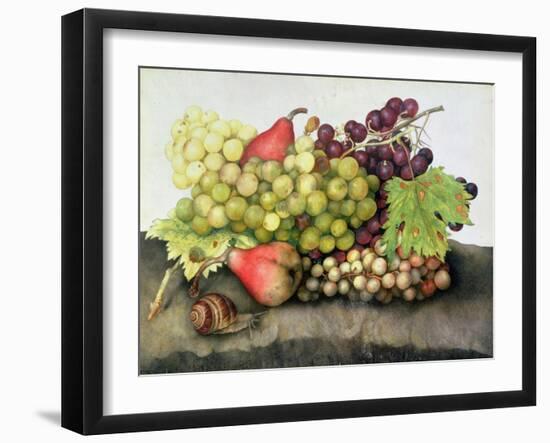 Snail with Grapes and Pears-Giovanna Garzoni-Framed Giclee Print