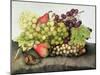 Snail with Grapes and Pears-Giovanna Garzoni-Mounted Giclee Print