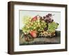 Snail with Grapes and Pears-Giovanna Garzoni-Framed Giclee Print
