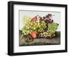 Snail with Grapes and Pears-Giovanna Garzoni-Framed Giclee Print