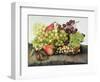 Snail with Grapes and Pears-Giovanna Garzoni-Framed Giclee Print