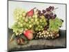 Snail with Grapes and Pears-Giovanna Garzoni-Mounted Giclee Print