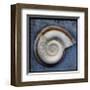 Snail-John Golden-Framed Giclee Print