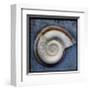 Snail-John Golden-Framed Giclee Print