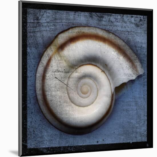 Snail-John Golden-Mounted Giclee Print