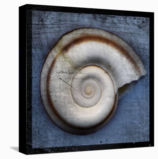 Snail-John Golden-Stretched Canvas