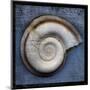 Snail-John W^ Golden-Mounted Art Print