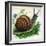 Snail-null-Framed Giclee Print