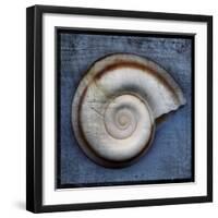 Snail-John W Golden-Framed Giclee Print