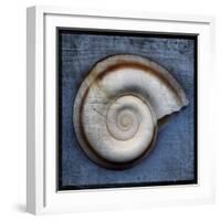 Snail-John W Golden-Framed Giclee Print